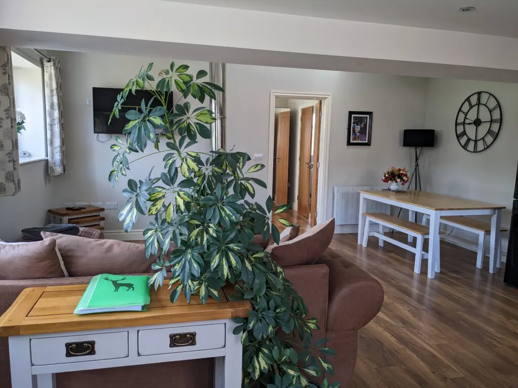 Open plan living area