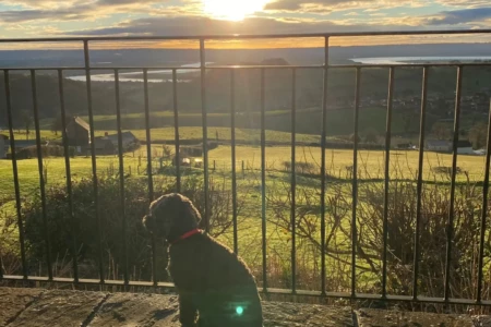 Peaceful Retreat - dog friendly holiday cottage