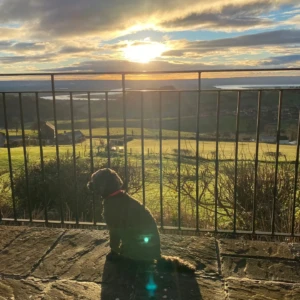 Spring moments - sunrise at Woodland Barn