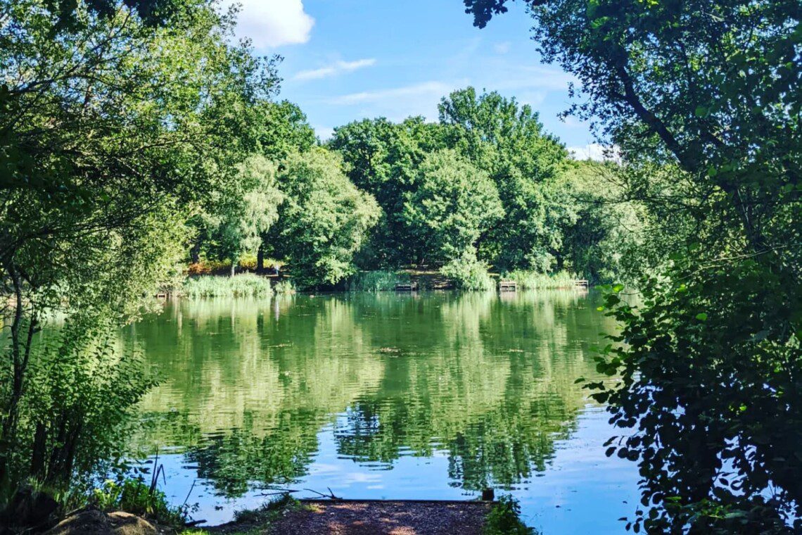 September Getaway - visit Cannop Ponds